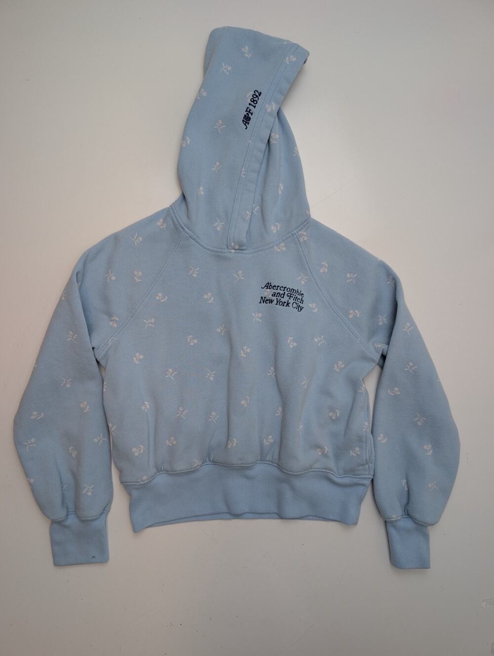 Abercrombie & Fitch Hoodie Girls Size 9/10 Blue Floral Logo Embroidered